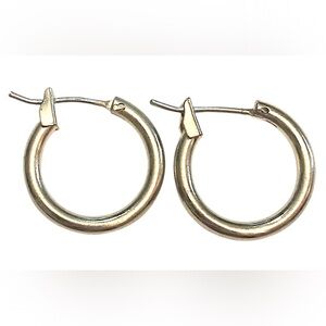 Small Gold Hoop Earrings
